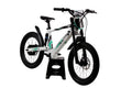 Trydn E20X
