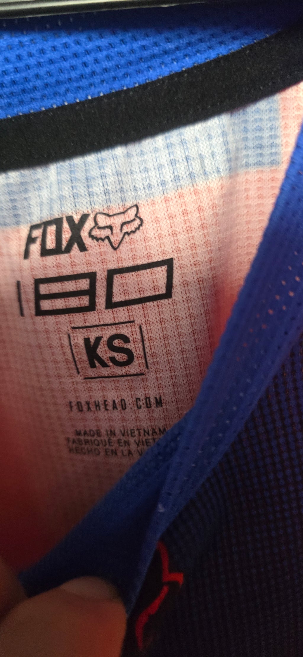 Fox age 4