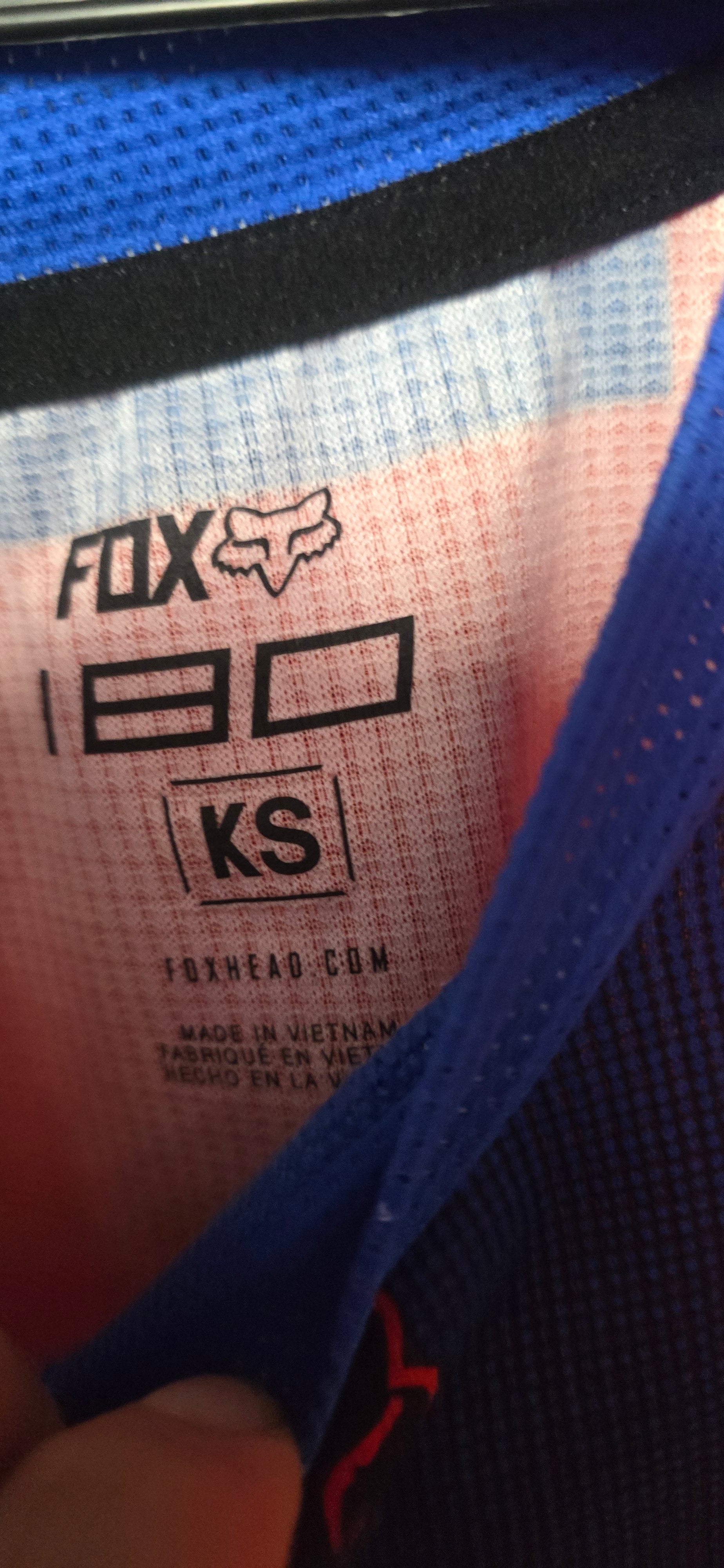 Fox age 4