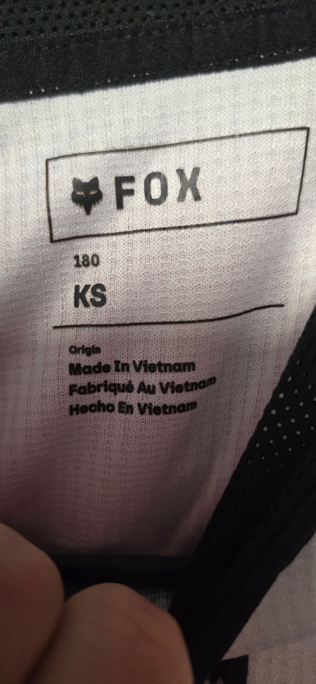 Fox age 4