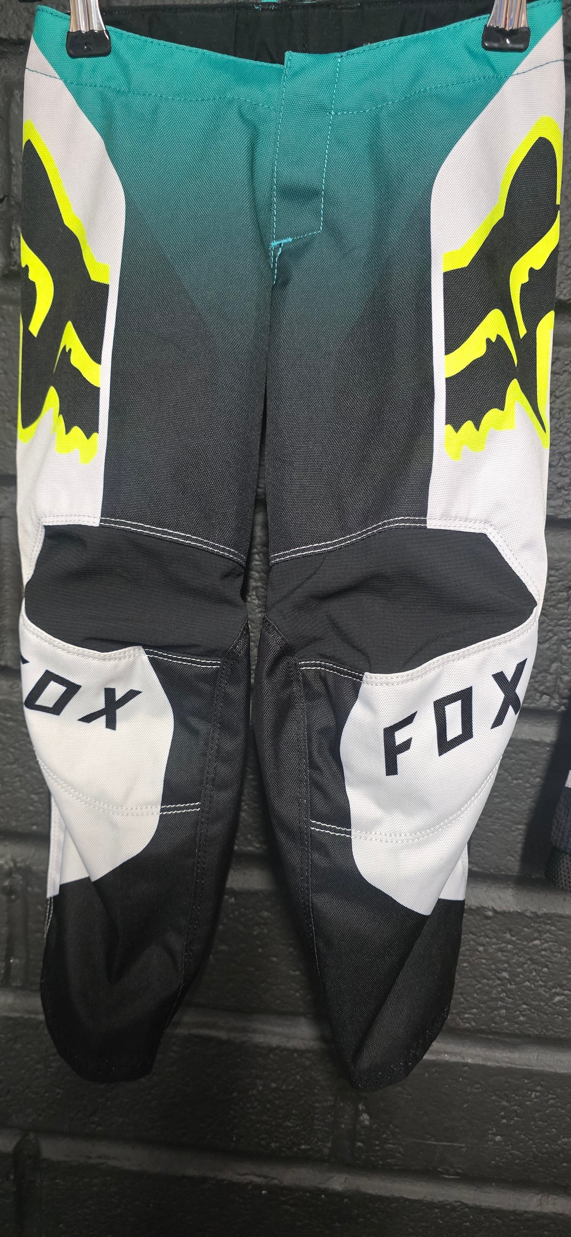 Fox age 4